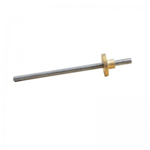 T4 Trapezoidal Screw 304 Stainless Steel With Brass Nut